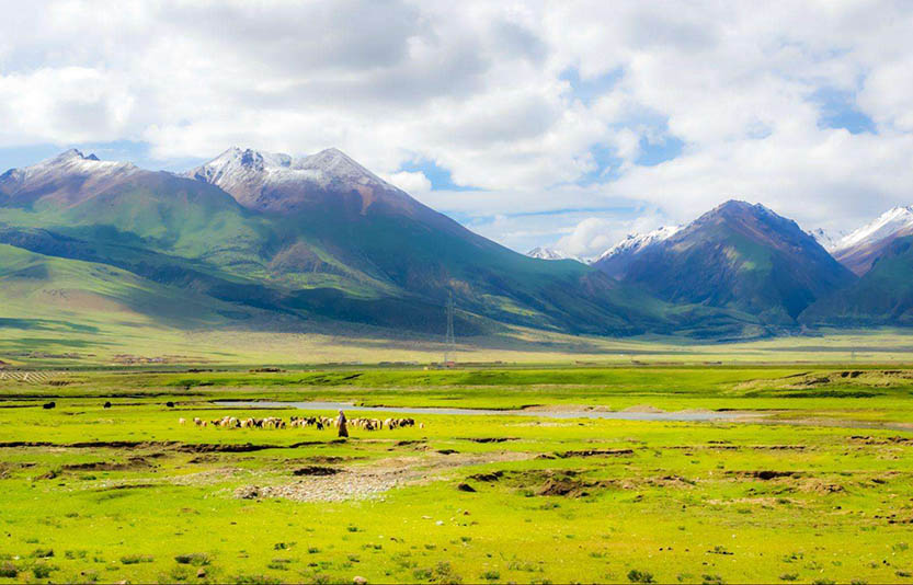扒一扒:发电机组如何在高原上使用?