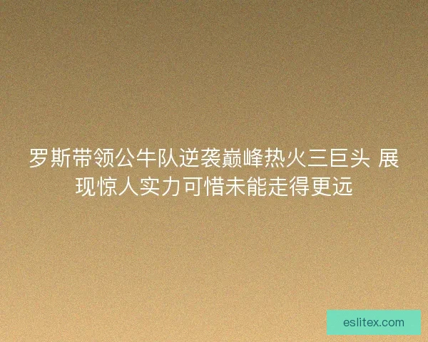 罗斯带领公牛队逆袭巅峰热火三巨头 展现惊人实力可惜未能走得更远