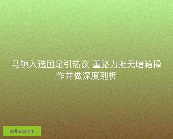 马镇入选国足引热议 董路力挺无暗箱操作并做深度剖析 马镇入选国足引热议 董路力挺无暗箱操作并做深度剖析